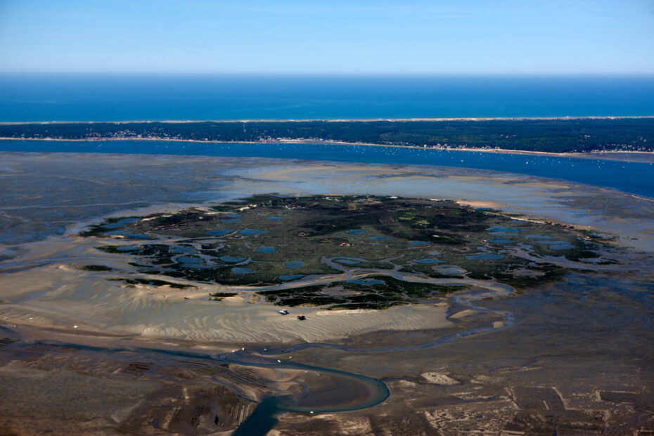 Ile aux oiseaux