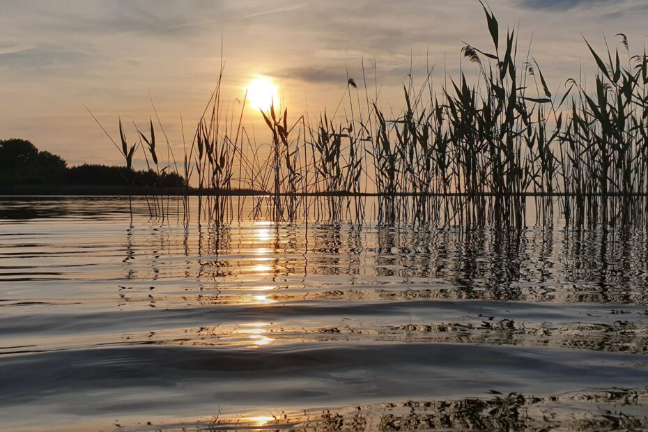 lac de cazaux
