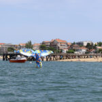 Queue baleine Arcachon