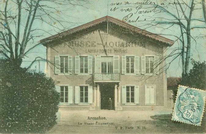 Musée aquarium d'arcachon
